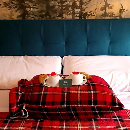 Rasinus Hotel 4*