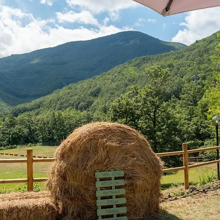 Hotel Rasinus Roccaraso