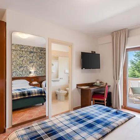 Hotel Rasinus