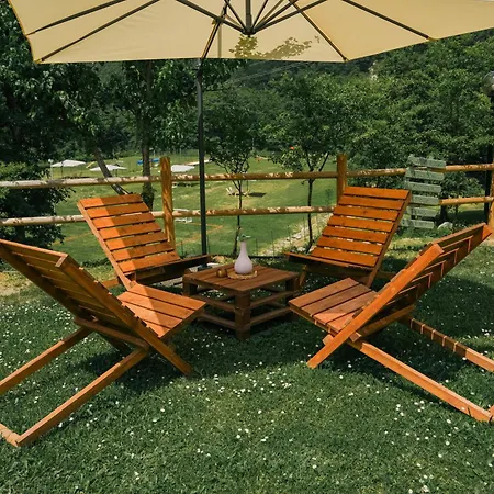 Rasinus 罗卡拉索