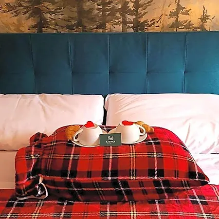 Hotel Rasinus 4*
