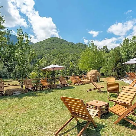 Rasinus Hotel