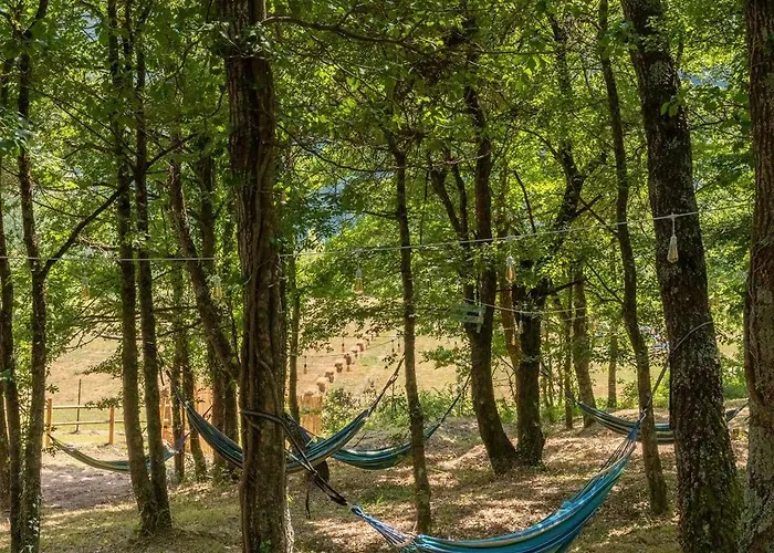 Rasinus روكاراسو